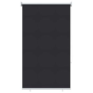 vidaXL Outdoor Roller Blind UV Protection Anthracite 100 x 140 cm