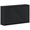 vidaXL Wall-Mounted Shoe Cabinet HAARLEM 71 x 17 x 43 cm Black