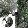 Product Thumbnail Image 15 of 17