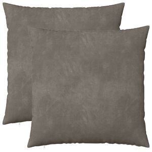 vidaXL Cushion with Pillow HEERLEN 2 pcs Light Grey Velvet