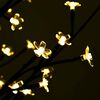 Product Thumbnail Image 4 of 8