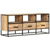 vidaXL TV Cabinet 110x30x45 cm Rough Mango Wood