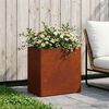 Product Thumbnail Image 2 of 10