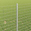 Product Thumbnail Image 4 of 8