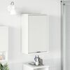 vidaXL Bathroom Cabinet with Door High Gloss White 39 x 23.5 x 65 cm