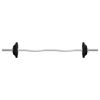 vidaXL Barbell and Dumbbell Set 30 kg Cast Iron