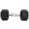 vidaXL Dumbbells 2 pcs 16 kg Total Cast Iron