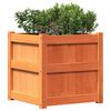 vidaXL Garden Planter Wax Brown 50x50x50 cm Solid Wood Pine