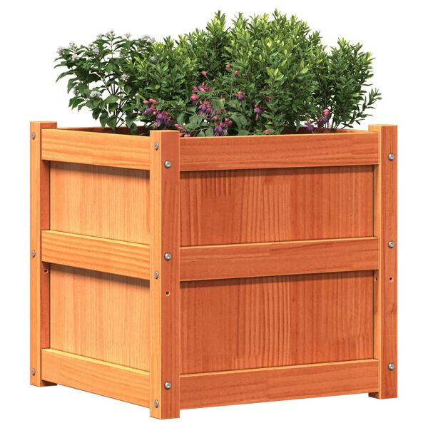 vidaXL Garden Planter Wax Brown 50x50x50 cm Solid Wood Pine