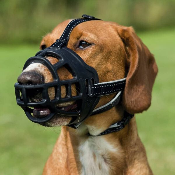 TRIXIE Dog Muzzle Flex Size L 17614