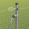 Product Thumbnail Image 5 of 18