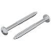 vidaXL Wood Screw 2 pcs Silver 9.8 x 53 mm Steel