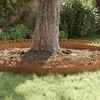 vidaXL Lawn Edgings 10 pcs Rusty 103 x 0.05 x 22 cm Weathering Steel