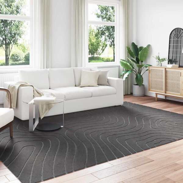 vidaXL Area Rugs Rectangular Anthracite 340 x 240 cm