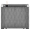 Product Thumbnail Image 3 of 6