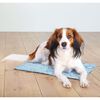 TRIXIE Dog Cooling Mat L 65x50 cm Light Blue