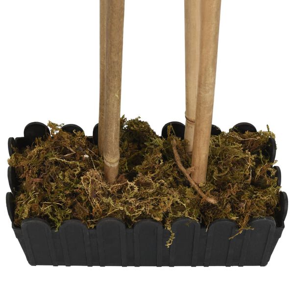 Showing Product Image 4 of 5