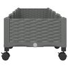 Product Thumbnail Image 4 of 8