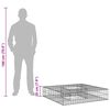 Product Thumbnail Image 10 of 10