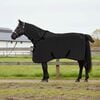 vidaXL Horse Blanket Black Polyester