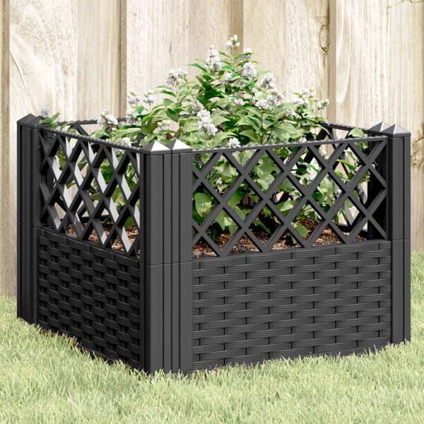 Showing Product Image 2 of 8