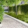 Product Thumbnail Image 2 of 9