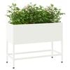 Product Thumbnail Image 3 of 12