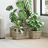 Product Thumbnail Image 2 of 10