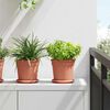 Product Thumbnail Image 2 of 9