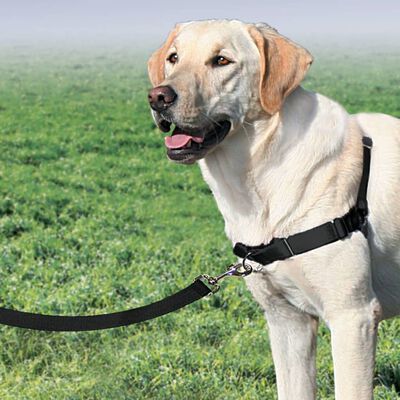 PetSafe Dog Harness Easy Walk L Black