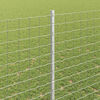 Product Thumbnail Image 4 of 8