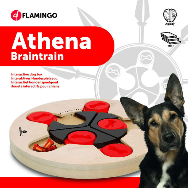 FLAMINGO Brain Training Toy Athena 25 cm Wooden