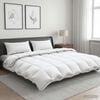 Product Thumbnail Image 2 of 12