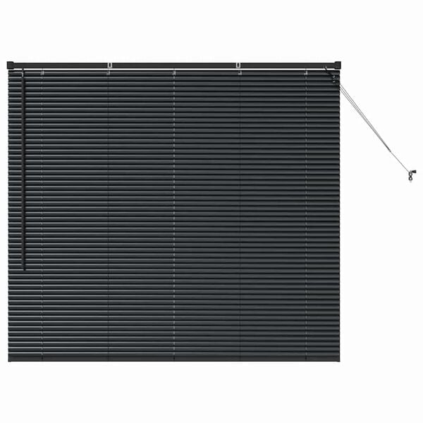 vidaXL Window Blind with Curtains Manual Black Aluminium