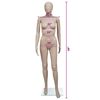 Product Thumbnail Image 7 of 7