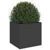 Product Thumbnail Image 4 of 11