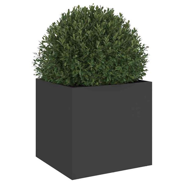 Showing Product Image 4 of 11
