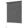 vidaXL Outdoor Roller Blind 350x140 cm Anthracite