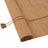 vidaXL Roller Blind Brown 50 x 160 cm Bamboo