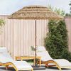 vidaXL Garden Parasol Natural 160 x 160 x 196 cm