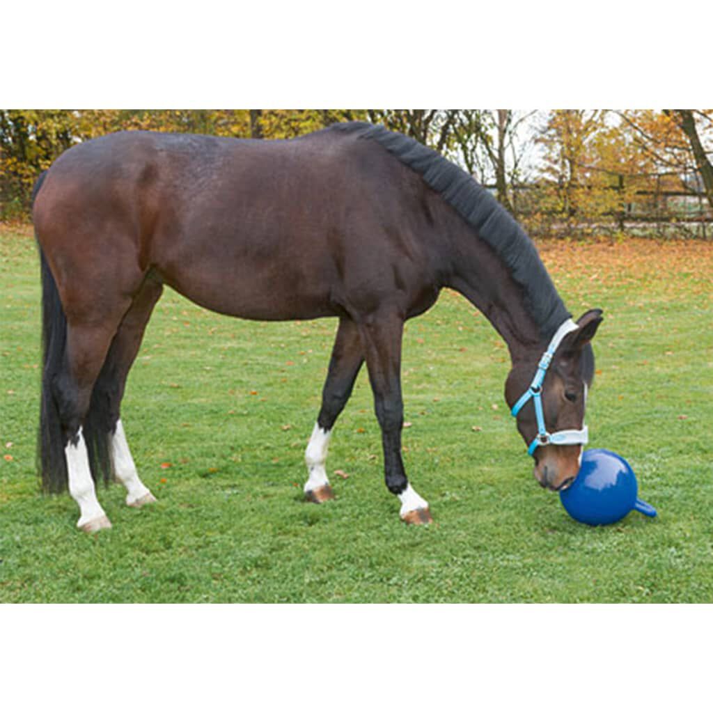 Kerbl Horse Play Ball Blue 25 cm 32399