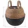Product Thumbnail Image 5 of 5