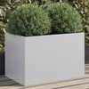 Product Thumbnail Image 2 of 12