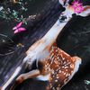 Product Thumbnail Image 4 of 8
