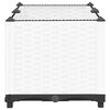Product Thumbnail Image 5 of 10