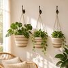 Product Thumbnail Image 2 of 8
