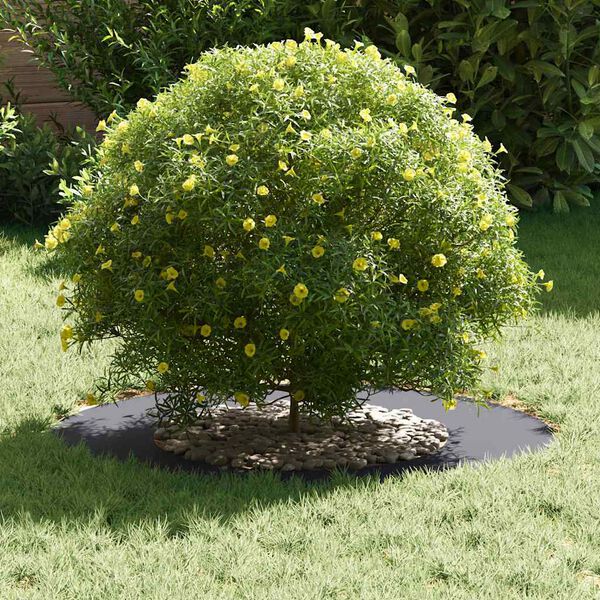 vidaXL suitable for Flat Tree Ring Anthracite &Oslash;40 / 70 cm Steel