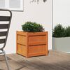 vidaXL Garden Planter Wax Brown 50x50x50 cm Solid Wood Pine