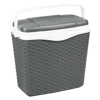 HI Cooling Box with Handle 24 L Plastic Anthracite