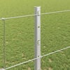 Product Thumbnail Image 4 of 14